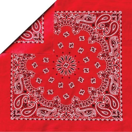 US-hav a hank-B22PAI-TRADITIONAL PAISLEY BANDANNAS Made In The USA