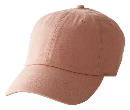 PS1400:cinnamon（43）
