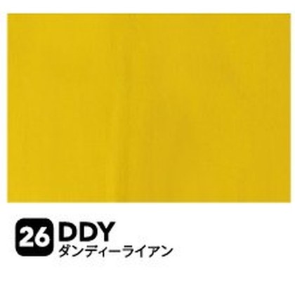 ダンディライアン（DDY）