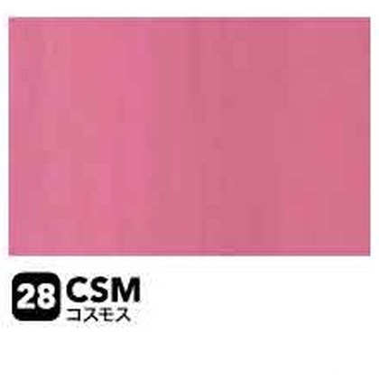 コスモス（CSM）