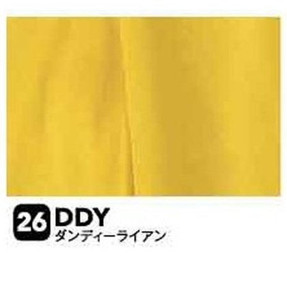 ダンディライアン（DDY）