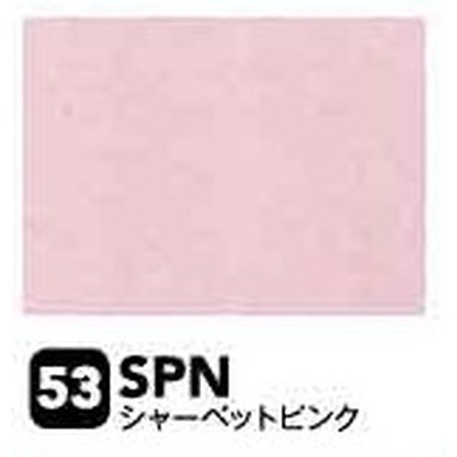 シャーベットピンク（SPN）
