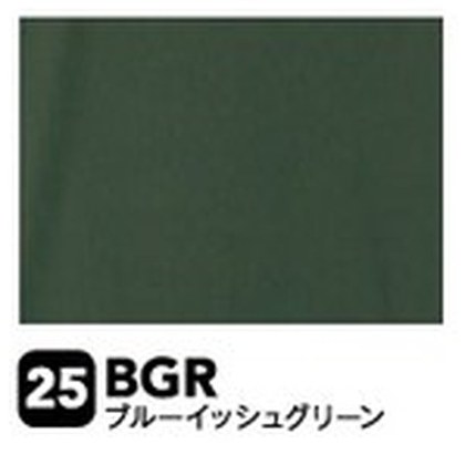 ブルーイッシュグリーン（BGR）