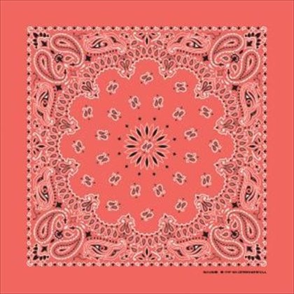 Honeysuckle（C03587）